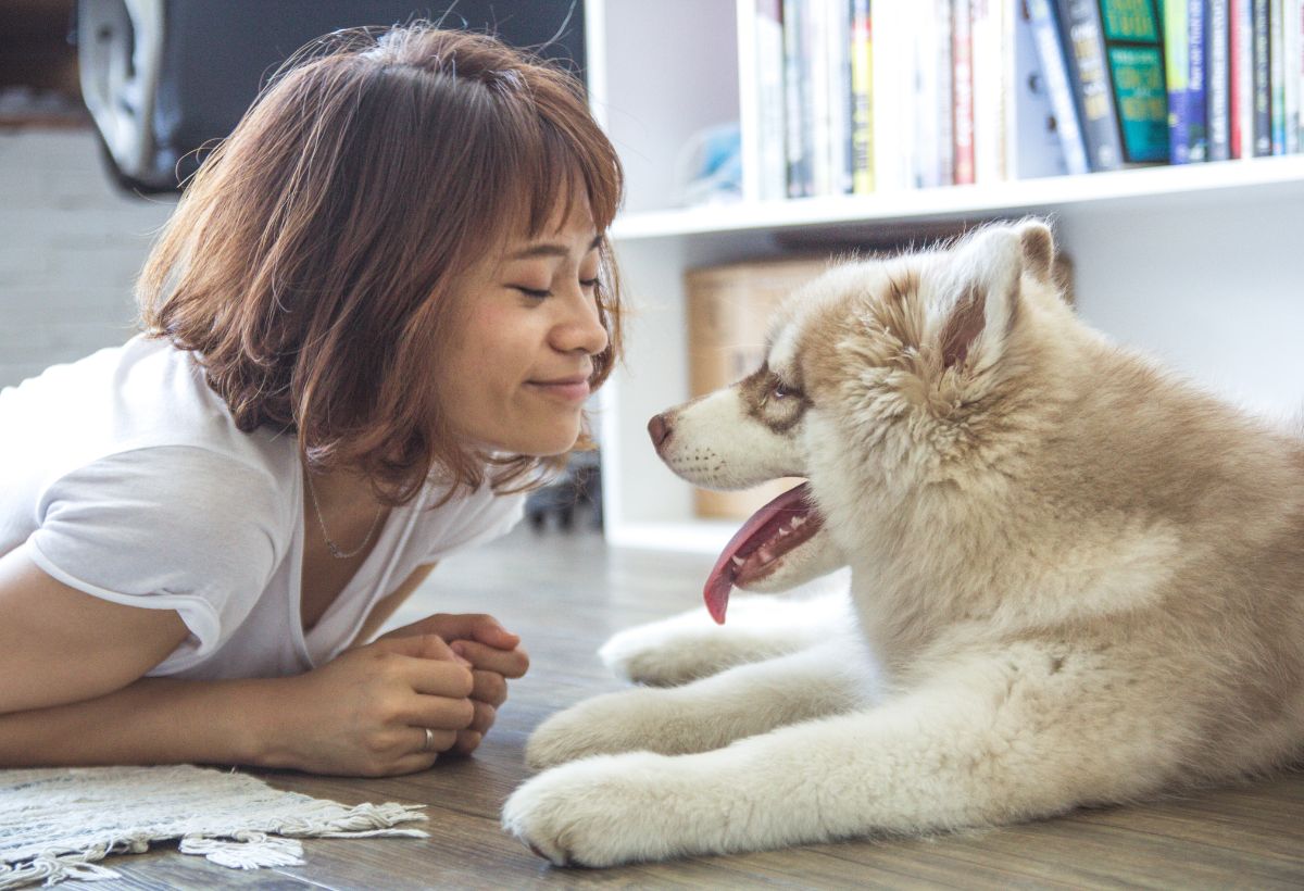 Mantenere un cane