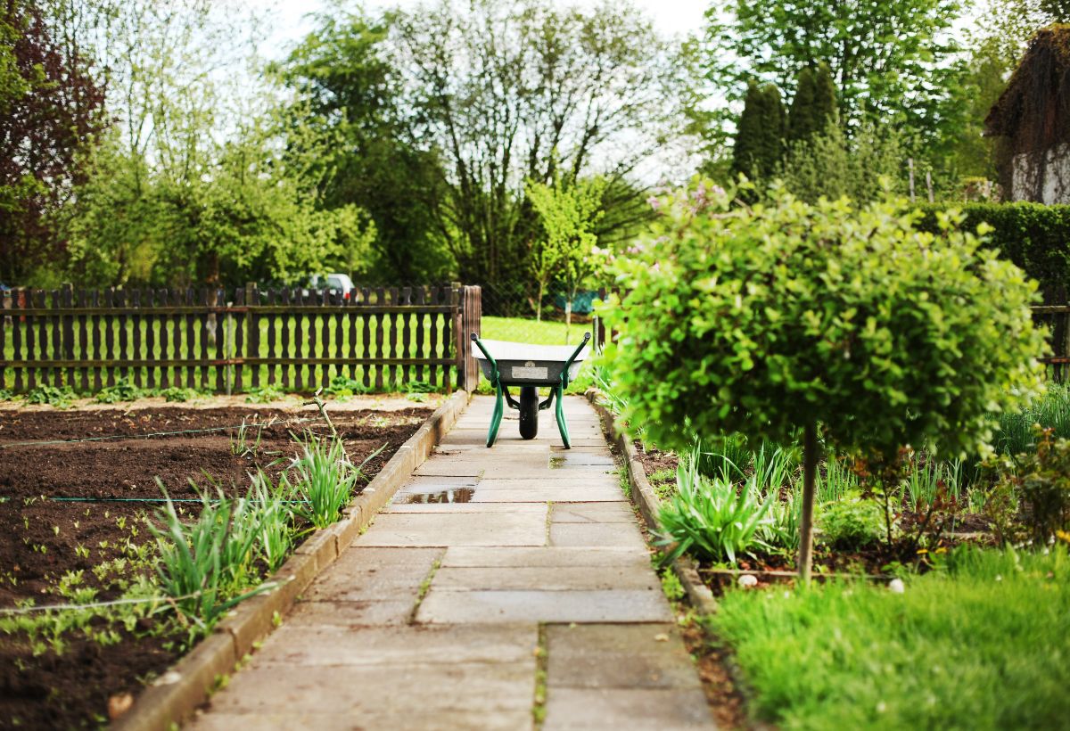 Risparmiare con il giardino